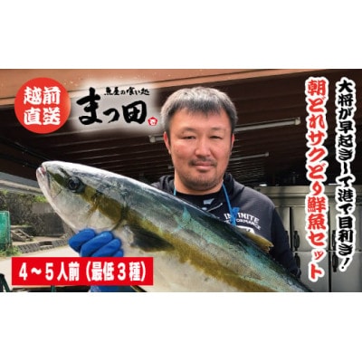 大将におまかせ!朝どれサクどり鮮魚4～5人前 【4月～10月発送】