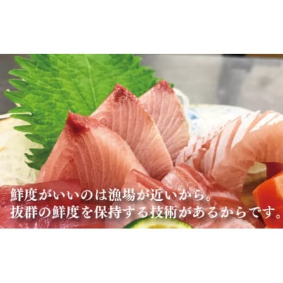 大将におまかせ!朝どれサクどり鮮魚4～5人前 【4月～10月発送】