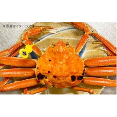【訳あり】まっ田の越前がに 約1kg 3～4杯詰め合わせセット【11月～3月配送】