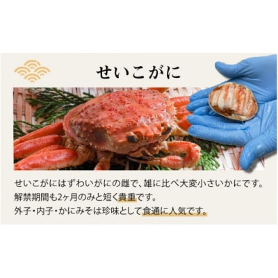 【訳あり】プチプチ食感の外子と濃厚な内子 せいこがに 甲羅盛 70～80g×4個(中大サイズ)