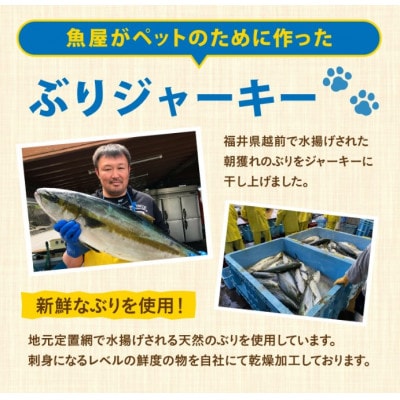 【福井県産】ペットのおやつ　ぶりジャーキー　50g×2袋