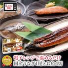 煮魚 焼魚 4種4切+うなぎ蒲焼1尾 セット 温めるだけ