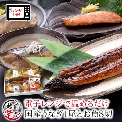 煮魚 焼魚 4種8切+うなぎ蒲焼1尾 セット 温めるだけ