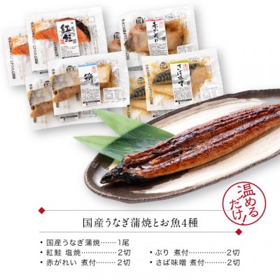 煮魚 焼魚 4種8切+うなぎ蒲焼1尾 セット 温めるだけ