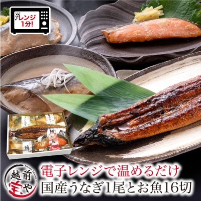 煮魚 焼魚 4種16切+うなぎ蒲焼1尾 セット 温めるだけ