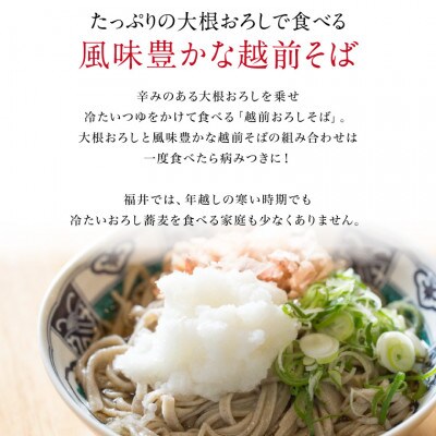 越前そば 生蕎麦 4食 つゆ付き