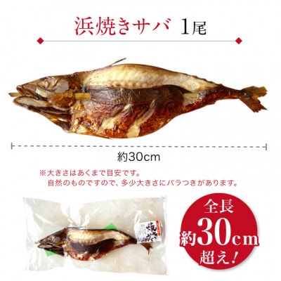 浜焼きサバ　丸ごと串刺し4本入