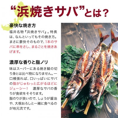 浜焼きサバ　丸ごと串刺し4本入
