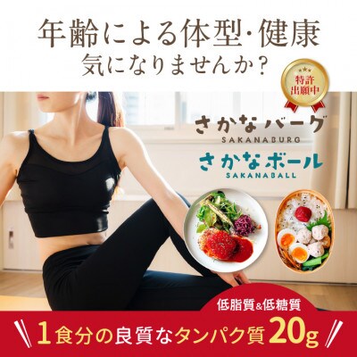 【さとふる限定】さかなバーグ+ボール 高タンパク 16パック レンジで温めOK