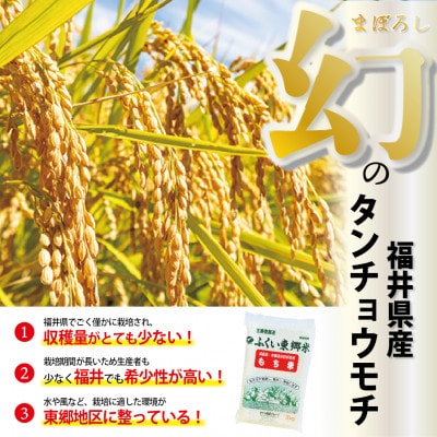 特別栽培米　タナカのおもち4種セット　合計40個