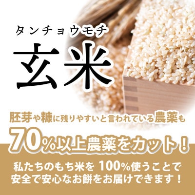 特別栽培米　タナカのおもち4種セット　合計40個