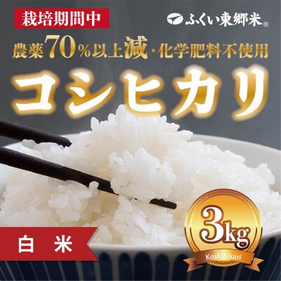 【2025年8月下旬発送】ふくい東郷米 特別栽培米コシヒカリ白米　3kg(3kg×1)【真空袋】
