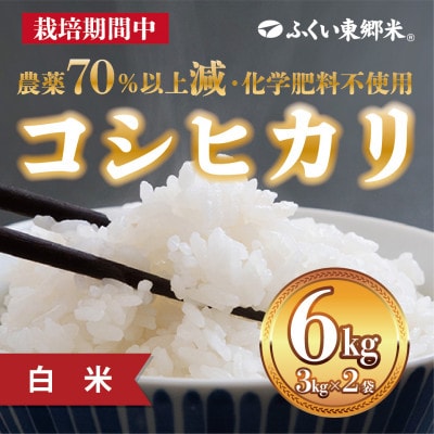 【2025年2月上旬発送】ふくい東郷米 特別栽培米コシヒカリ白米　6kg(3kg×2)【真空袋】