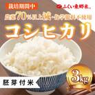 令和6年産 ふくい東郷米 特別栽培米農薬70%減コシヒカリ 胚芽付　3kg(3kg×1袋)【真空袋】