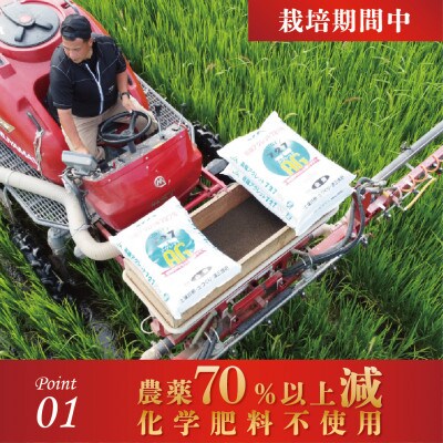 令和6年産 ふくい東郷米 特別栽培米農薬70%減コシヒカリ 胚芽付　6kg(3kg×2袋)【真空袋】