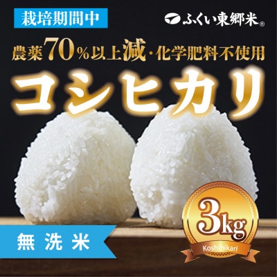 令和6年産 ふくい東郷米 特別栽培米農薬70%減コシヒカリ 無洗米　3kg(3kg×1袋)【真空袋】