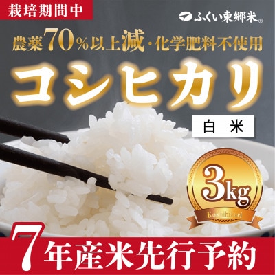 令和7年産 ふくい東郷米 特別栽培米 栽培期間中農薬70%減コシヒカリ 白米3kg×1袋【真空袋】