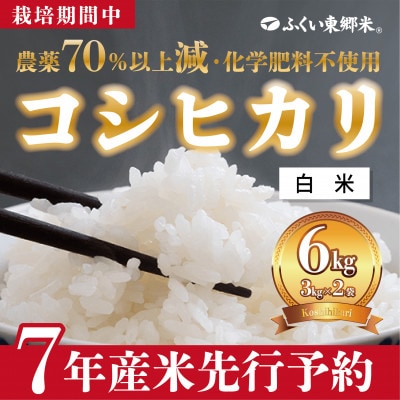 令和7年産 ふくい東郷米 特別栽培米 栽培期間中農薬70%減コシヒカリ 白米3kg×2袋【真空袋】