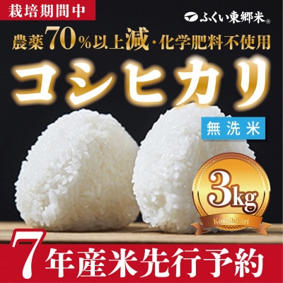 令和7年産 ふくい東郷米 特別栽培米 栽培期間中農薬70%減コシヒカリ 無洗米3kg×1袋【真空袋】