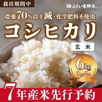 令和7年産 ふくい東郷米 特別栽培米 栽培期間中農薬70%減コシヒカリ 玄米3kg×2袋【真空袋】