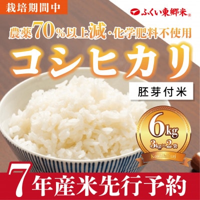 令和7年産 ふくい東郷米 特別栽培米 栽培期間中農薬70%減コシヒカリ 胚芽付3kg×2袋【真空袋】