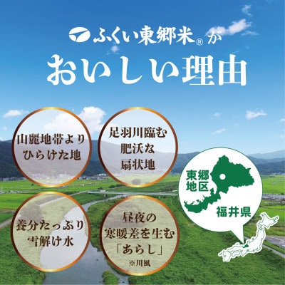 令和7年産 ふくい東郷米 特別栽培米 栽培期間中農薬70%減コシヒカリ 胚芽付3kg×2袋【真空袋】