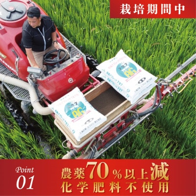 令和7年産 ふくい東郷米 特別栽培米 栽培期間中農薬70%減コシヒカリ 胚芽付3kg×2袋【真空袋】