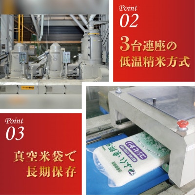 令和7年産 ふくい東郷米 特別栽培米 栽培期間中農薬70%減コシヒカリ 胚芽付3kg×2袋【真空袋】