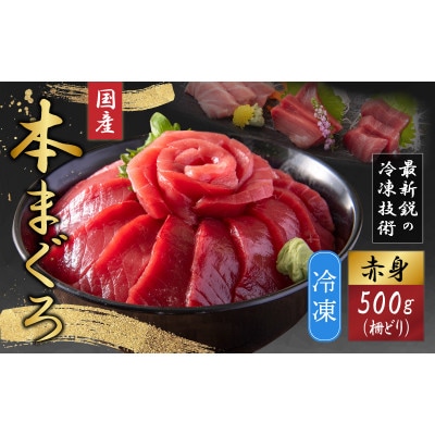 【最新鋭の冷凍技術 刺身用】本まぐろ 赤身 500g(柵どり)