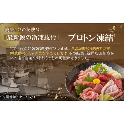 【最新鋭の冷凍技術 刺身用】本まぐろ 赤身 500g(柵どり)