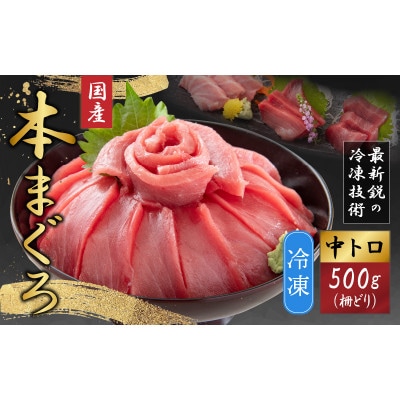 【最新鋭の冷凍技術 刺身用】本まぐろ 中トロ 500g(柵どり)