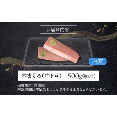 【最新鋭の冷凍技術 刺身用】本まぐろ 中トロ 500g(柵どり)