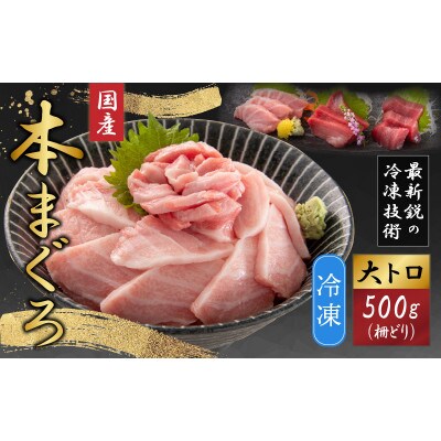 【最新鋭の冷凍技術 刺身用】本まぐろ 大トロ 500g(柵どり)