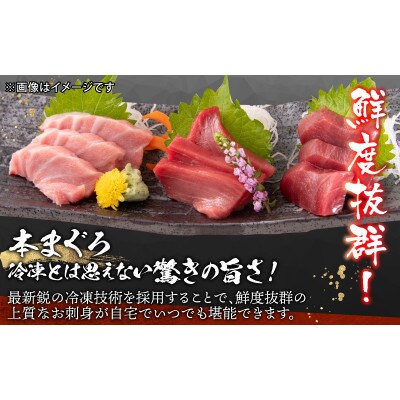 最新鋭の冷凍技術 刺身用】本まぐろ 大トロ 500g(柵どり) | 福井 最新鋭の冷凍技術 刺身用】本まぐろ 大トロ 500g(柵どり) | 福井