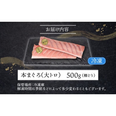 【最新鋭の冷凍技術 刺身用】本まぐろ 大トロ 500g(柵どり)