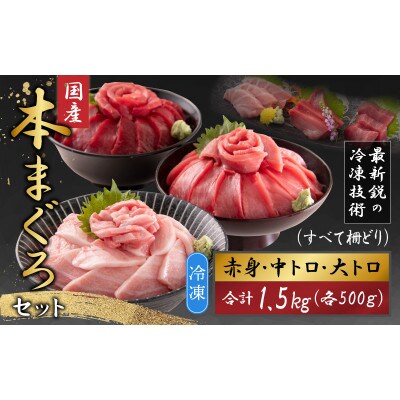 【最新鋭の冷凍技術 刺身用】本まぐろセット大トロ500g+中トロ500g+赤身500g(柵どり)