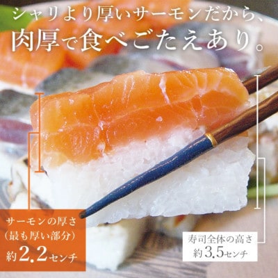 【のし付き】贅沢すぎる!トロサーモン寿司　1本