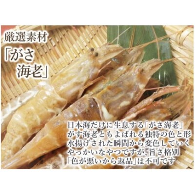 【のし付き】見た目も色も悪い。でも旨い !がさ海老寿司　1本