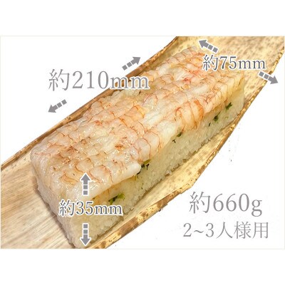 【のし付き】見た目も色も悪い。でも旨い !がさ海老寿司　1本