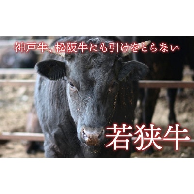 【おためしサイズ(のし付き)】贅沢なご褒美寿司 若狭牛炙りロース寿司
