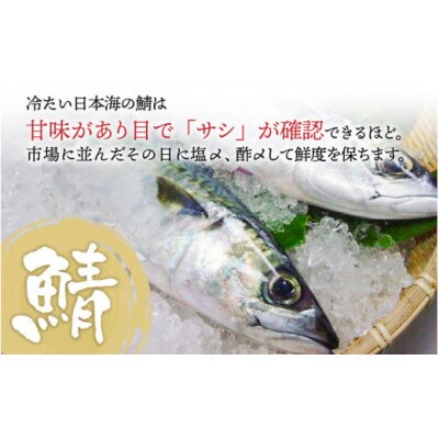 【のし付き】贅沢すぎる!おためしサイズ 生さば寿司　1本