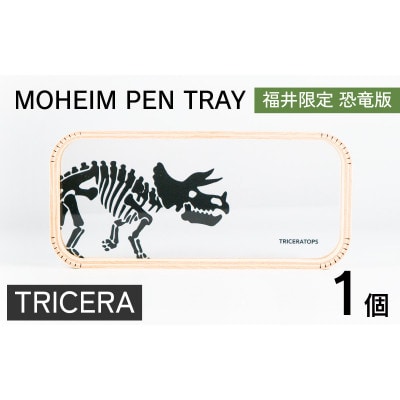 MOHEIM PEN TRAY (TRICERA)