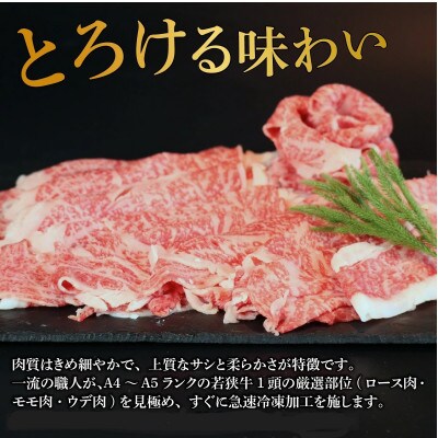 若狭牛【A4～A5ランク】しゃぶしゃぶ・すき焼き用(モモ、ウデ、ロース)約500g