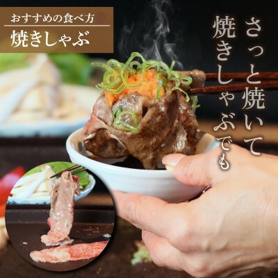 若狭牛【A4～A5ランク】しゃぶしゃぶ・すき焼き用(モモ、ウデ、ロース) 約1kg