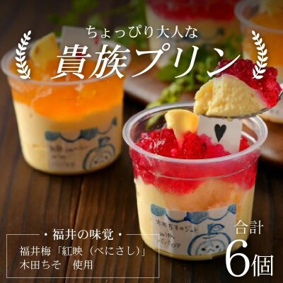 福井を味わう♪ 貴族プリン 6個セット