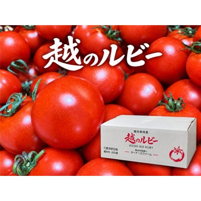 福井県特産『越のルビー』甘くて皮が薄く食べやすい　ミディトマト2Kg