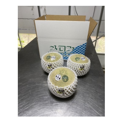 【福井市三里浜砂丘地産】立体栽培の甘味凝縮アンデスメロン 2～3玉(合計3kg以上)