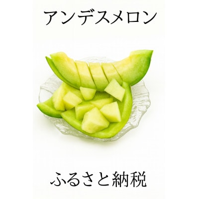 【福井市三里浜砂丘地産】立体栽培の甘味凝縮アンデスメロン 2～3玉(合計3kg以上)