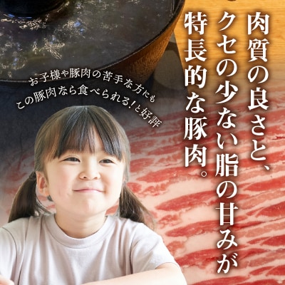 甲州乳酸菌豚クリスタルポークしゃぶしゃぶセット 2kg(バラ 1kg+ロース 1kg)