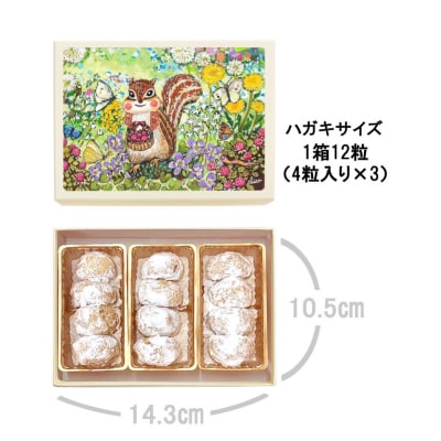 [西光亭]くるみのクッキー&チョコマカダミアクッキー(各1個/お渡し用のお手提げ袋2袋付)